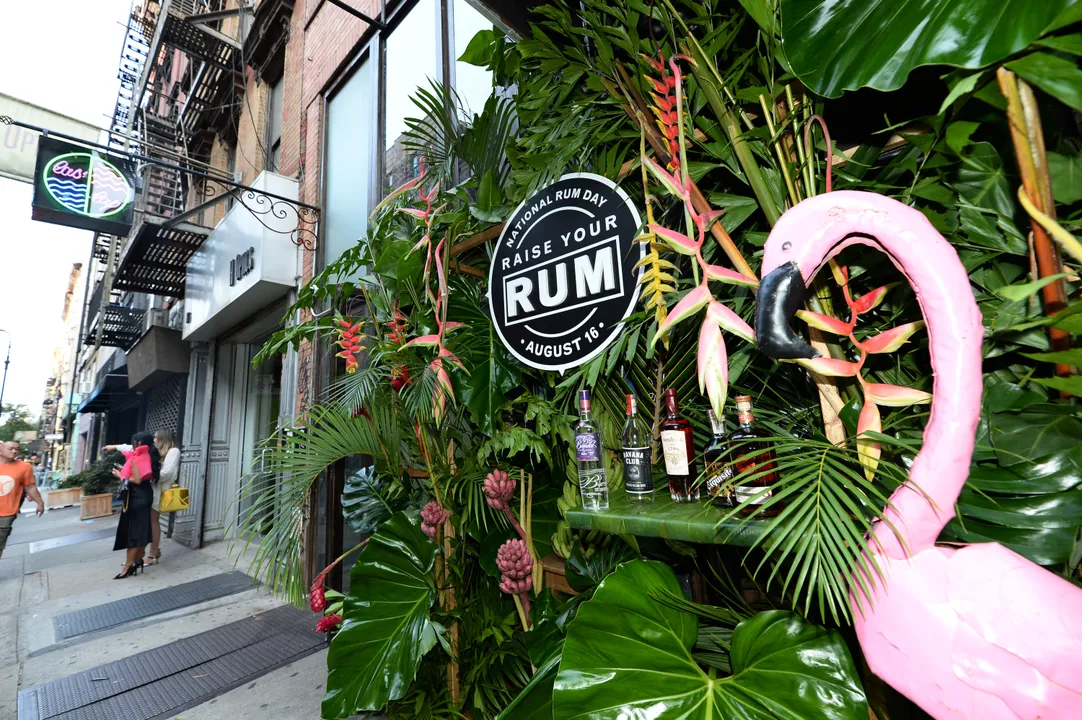 DASCHA POLANCO CELEBRATES NATIONAL RUM MONTH WITH THE BACARDI LIMITED PREMIUM RUM PORTFOLIO IN NEW YORK CITY 